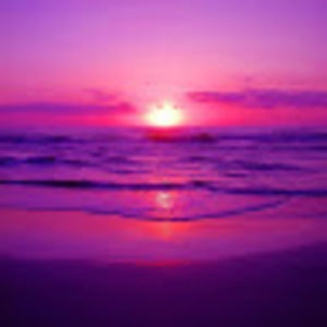 Meet your Posher, Deanna